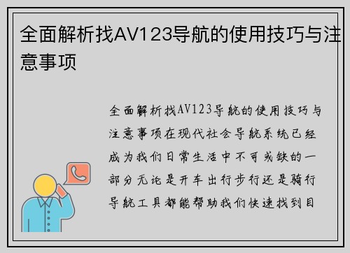 全面解析找AV123导航的使用技巧与注意事项